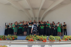 0cbea5b3-3bcb-41de-a0bc-cc99a03a096f-1