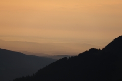 IMG_4815 (2)