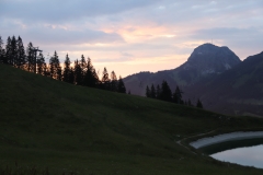IMG_4820 (2)