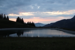 IMG_4822 (2)