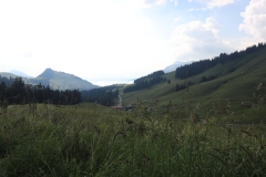 IMG_4845 (2)